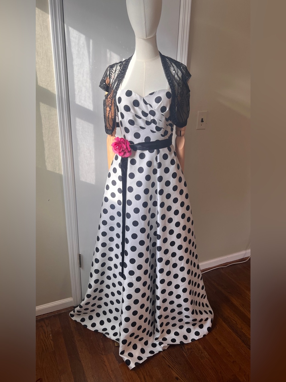 Adrianna Papell Polka Dot Floor Length Dress